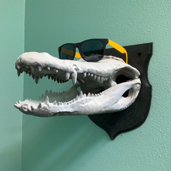 Alligator Skull Wall Hanger! Reptile Skull Stand like Nile/Saltwater/Crocodiles/Caiman/Gharial Keys/Hat/Coat/Purse Recording Music Gaming!