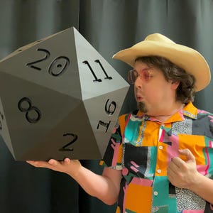 Pu&ograve; includere: Un grande dado a venti facce grigio scuro con numeri neri. Il dado &egrave; tenuto da una persona che indossa una camicia fantasia colorata, un cappello da cowboy e occhiali rosa. Il dado &egrave; un oggetto di novit&agrave; per i giochi da tavolo.
