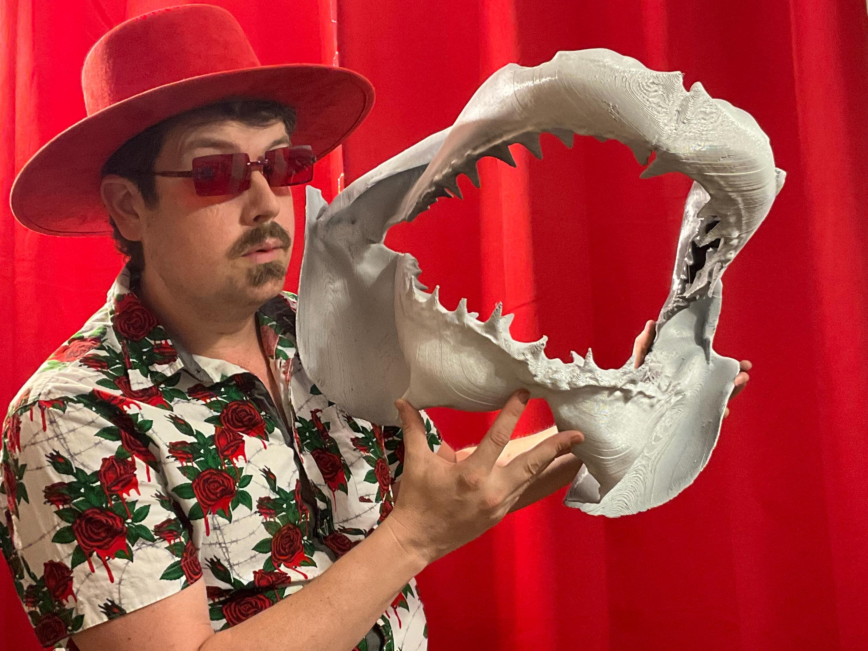 GRANDE MÂCHOIRE DE REQUIN | Kaufen auf