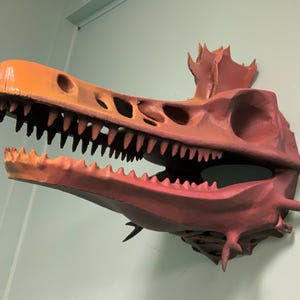 Könnte beinhalten: Eine rote und orangefarbene Dinosaurierschädel-Replik mit einem großen, offenen Maul und scharfen Zähnen. Der Schädel ist an einer Wand montiert.