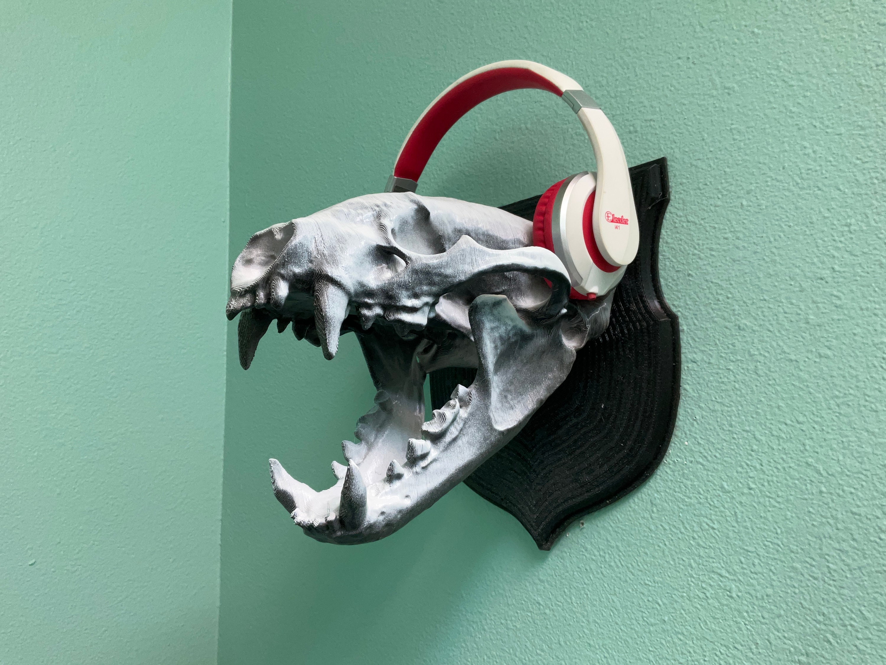 Animal Skull Scale Model 3D Printed Animal Skull Glass Dome Display