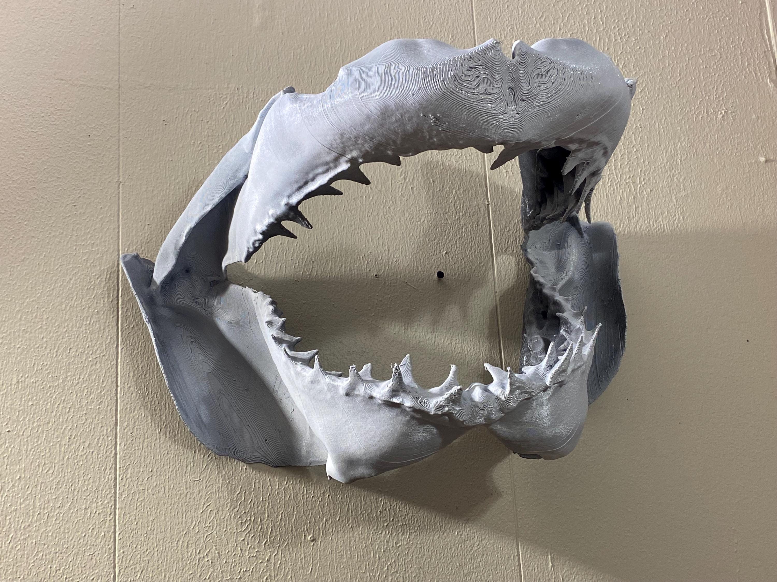 Giant Shark Jaws Wall Decor – 3D Printed Beach House Coastal Art