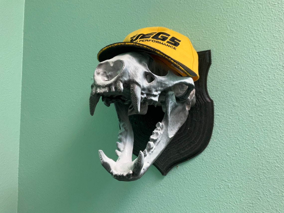 Honey Badger Skull Wall Hanger Mustelid Stand Like Etsy