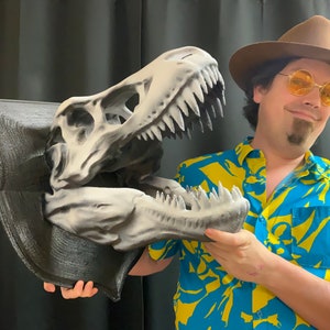 RIESIGER T-Rex Schädel Wandhalter! RIESIGER Tyrannosaur Dinosaurier Stand wie Allosaur / Stegosaurus / Apatosaur / Raptor Wanddekoration, Tierschädel!