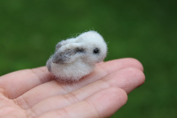 Download Felted Baby Bunny Miniature Pet For Blythe American Girl Etsy
