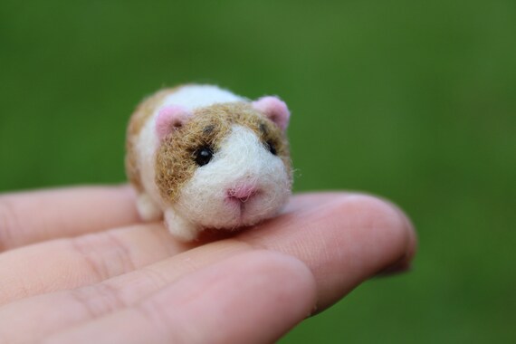 guinea pig doll