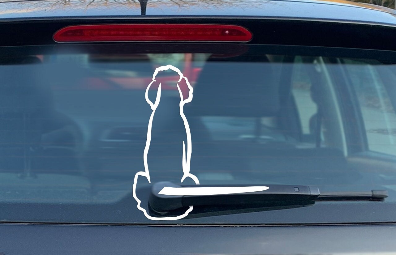 Funny Bitch Inside Girl Stuff JDM Boost Drift Fits Jeep Truck Car Sticker  Decal