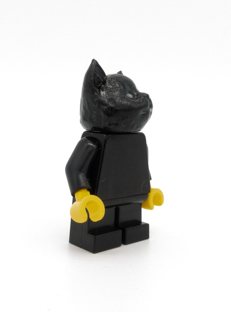 black cat with figure from LEGO image 5