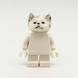 white cat with figure from LEGO