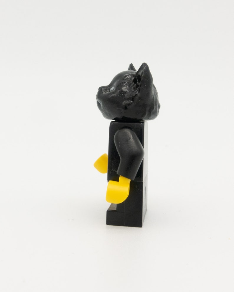 black cat with figure from LEGO image 2