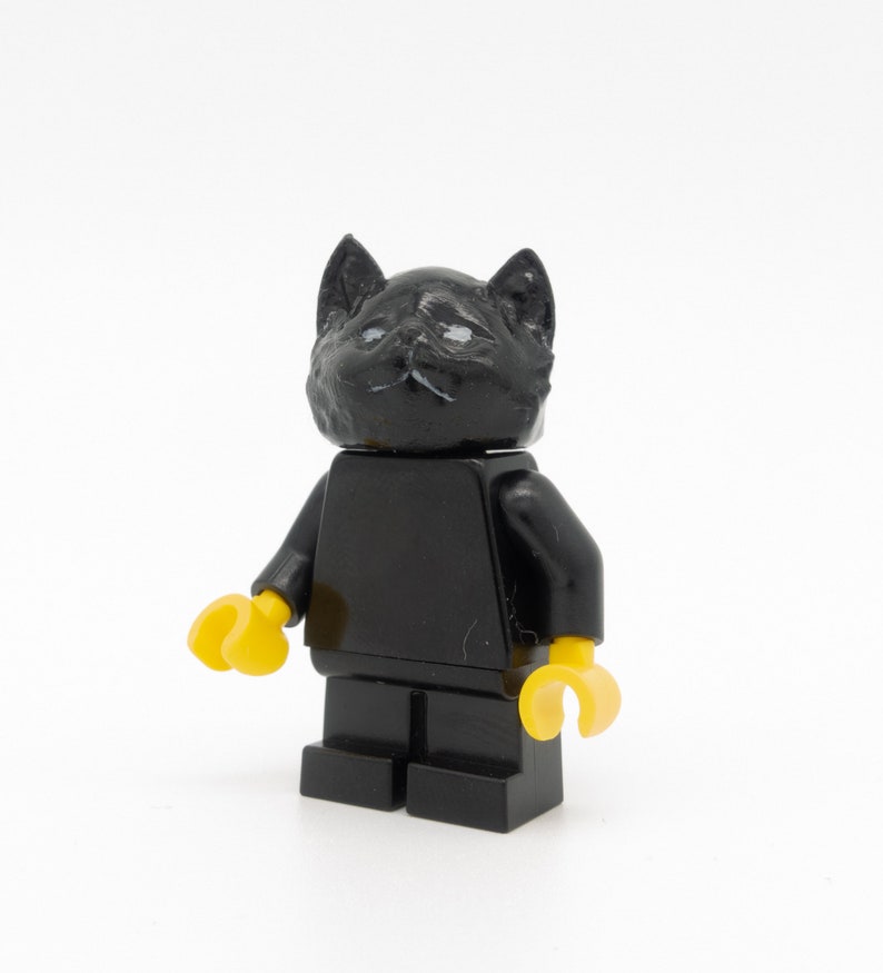 black cat with figure from LEGO image 1