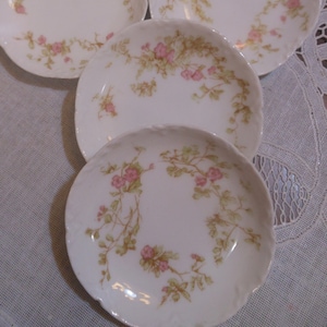 Lovely Antique Haviland & Co Butter Pat Delicate Pink Flowers Pastel Green Leaves Ivy Limoges Schleiger 51e c1894