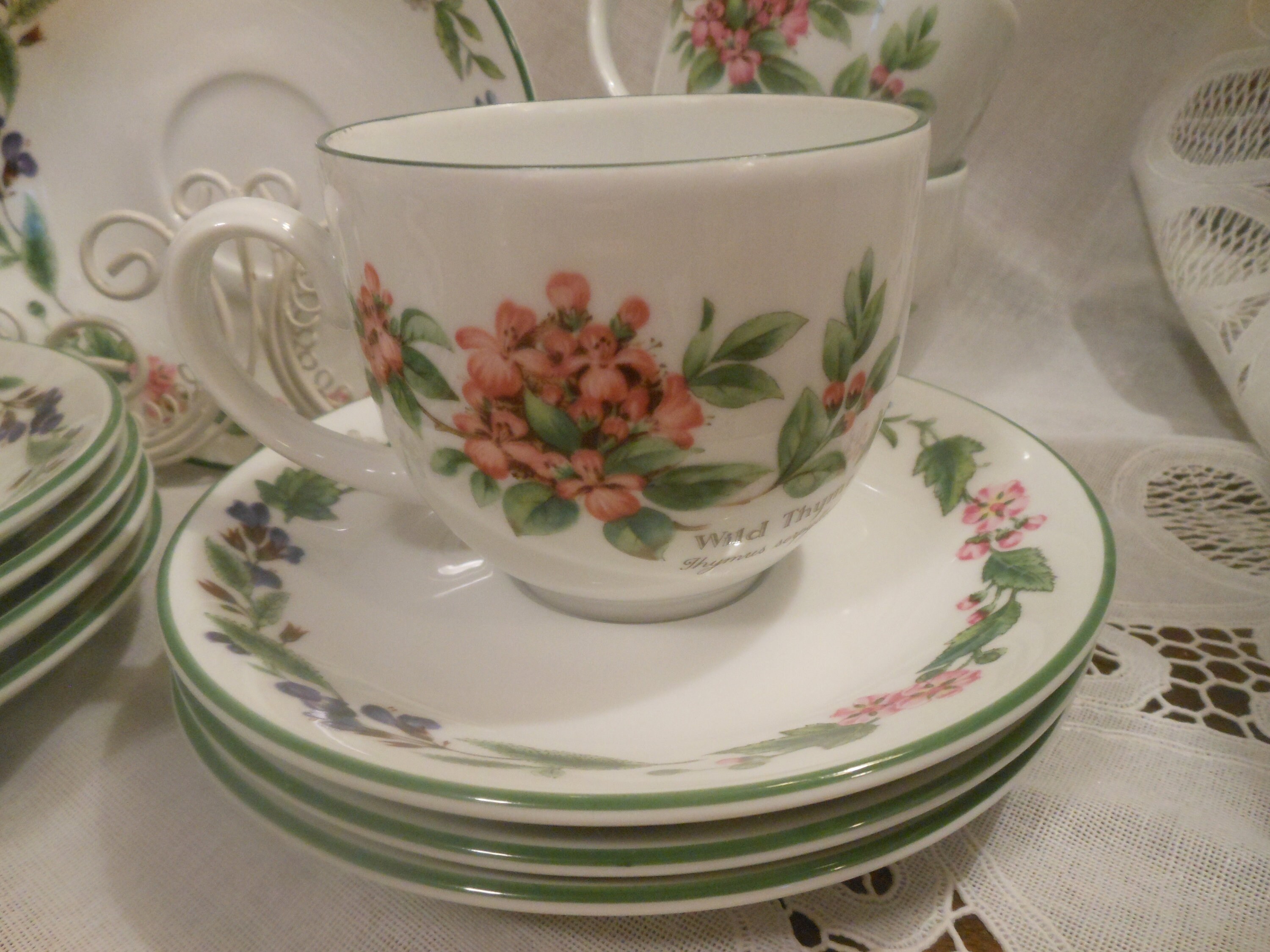 Worcester Herbs - Etsy