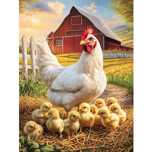 May include: A painting of a white hen with a red comb and beak, surrounded by a group of yellow chicks. The hen stands on a bed of hay, with a red barn and white fence in the background. The scene is set in a sunny field.