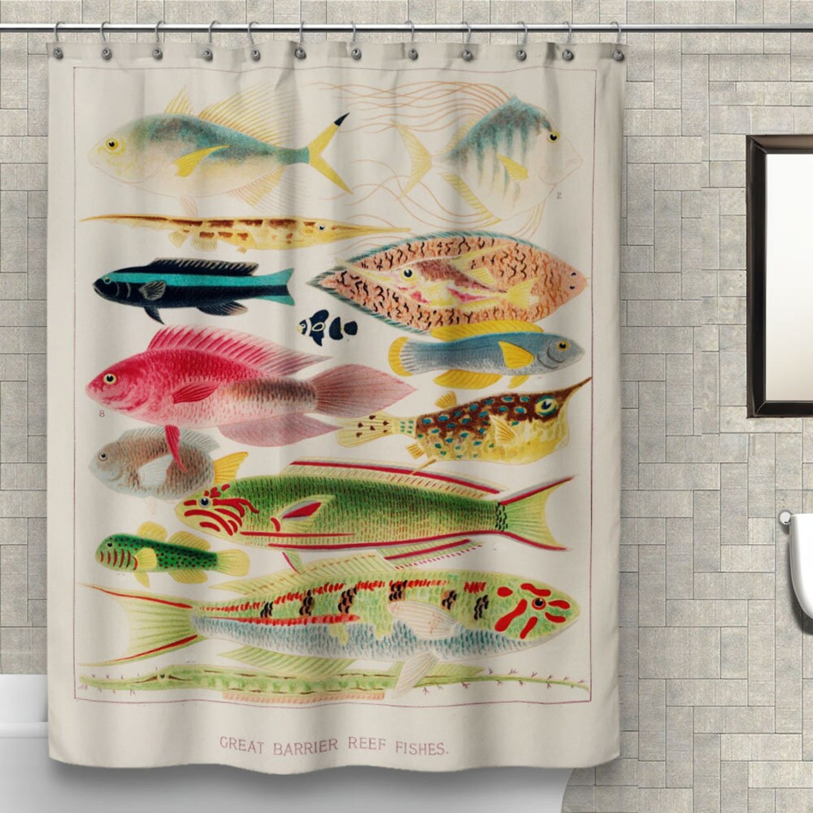 Fish Shower Curtain Colorful Tropical Fishes Species Bath Curtain, Ocean Bathroom Decor Polyester Fabric - 180x180cm - 71x71 inches, 1
