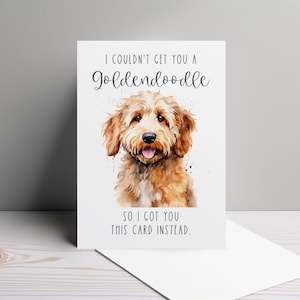 Não consegui te dar um cartão de aniversário engraçado Goldendoodle para amantes de cães, presente memorável para entusiastas de cães, aniversário, cartão de felicitações personalizado 5x7