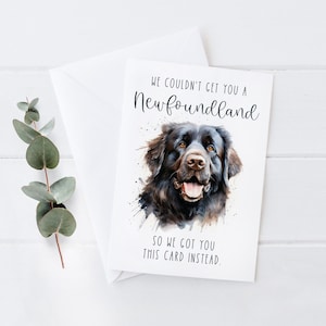 Non siamo riusciti a procurarti un biglietto d'auguri divertente per gli amanti dei cani di Terranova, un regalo memorabile per gli amanti delle razze di grandi dimensioni. Biglietto d'auguri personalizzato per il compleanno, 5x7.