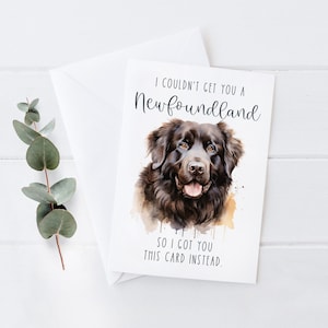 Tarjeta de cumpleaños divertida "No pude conseguirte un Terranova" para amantes de los perros. Regalo memorable para entusiastas de las razas grandes. Tarjeta de felicitación personalizada de 5 x 7 pulgadas.