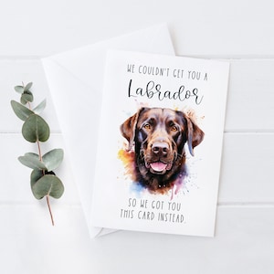 No pudimos conseguirte una tarjeta de cumpleaños divertida de Labrador para los amantes de los perros. Regalo memorable para los entusiastas de los labradores. Tarjeta de felicitación personalizada de cumpleaños de 5x7 de nuestra parte.