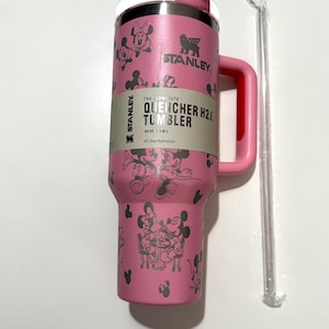 Mickey and Minnie Disney-Inspired Princess Custom Laser Engraved  Stanley tumbler Cups 40 ozs