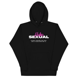 Hobosexual : I'm Not looking for Love Just a Place with wifi Humor Funny Unisex Pullover Hoodie | Funny Humor sayings | Gifts | Men Women