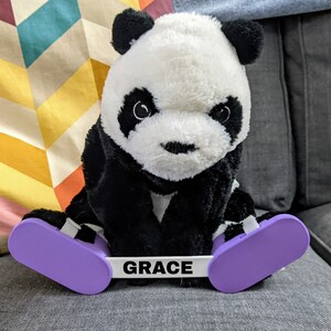 May include: A black and white panda plush toy wearing a purple and white skateboard with the word "GRACE" printed on it.