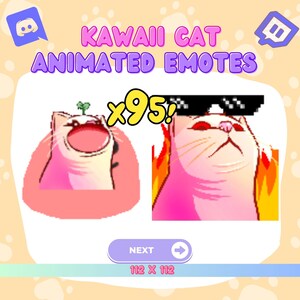Kawaii Animated Cat Twitch Emote Rainbow Funny Cat Variety Streamer Twitch Discord Emotes Adorable Animated Twitch Emote Affordable Twitch