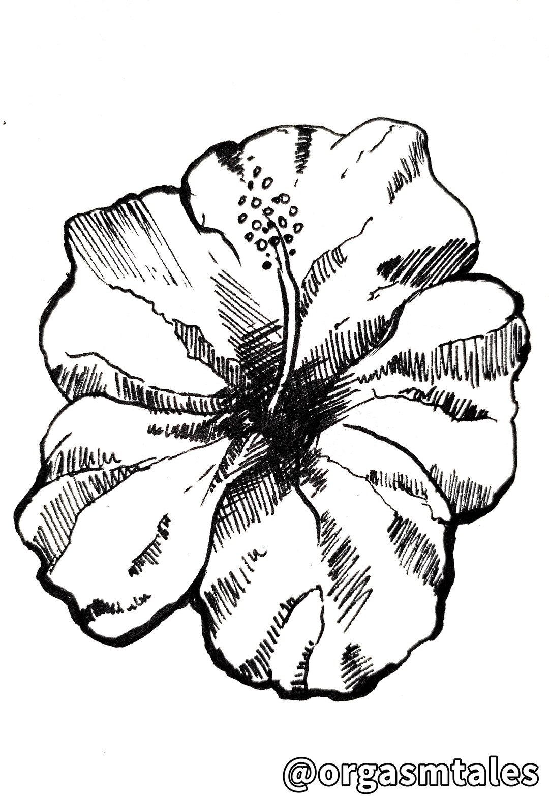 Hibiscus Flower Drawing Marker Pen Handmade Sketch Drawing - Etsy