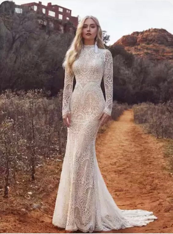 Winter Wedding Dress, Turtle Wedding Dress, Modest Wedding Dress, Lace  Wedding Dress, Long Sleeve Wedding Dress -  Canada