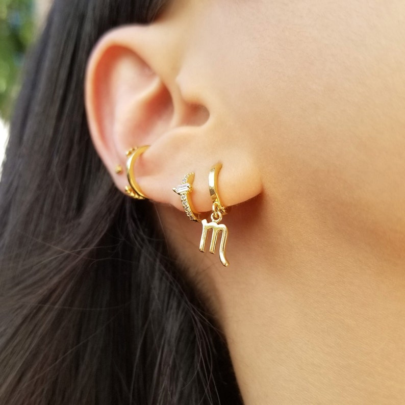 Astrological Sign Earrings, Zodiac Earrings, Zodiac Jewelry, Gold Drop Hoops, Delicate Hoop Earrings, Zodiac Sign Charm Hoops,MABEL EARRINGS image 1