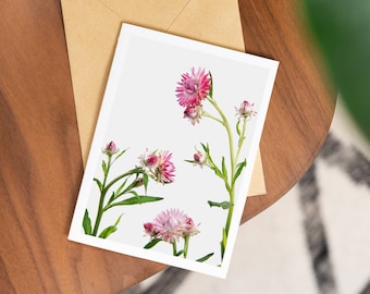 Strawflower Single Card : Minimalist Plant Photo Print / Plant Cards / Art Print / Nature Art / Stationery / Single Card
