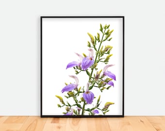 Modern Wall Art Print | Purple Wild Orchid | Minimalist Plant Photo Print / Home Decor / Photo Print / Nature Art
