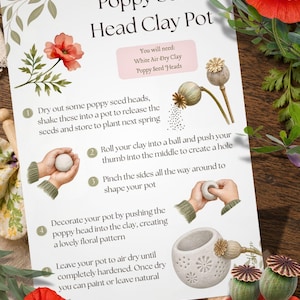 May include: An instructional guide titled Poppy Seed Head Clay Pot featuring five numbered steps. The text outlines using white air dry clay and poppy seed heads to create a pot, illustrated with drawings of hands shaping clay and a finished clay pot.