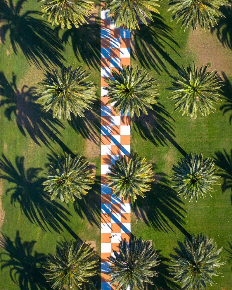 Palm Trees Pattern Printable Wall Art