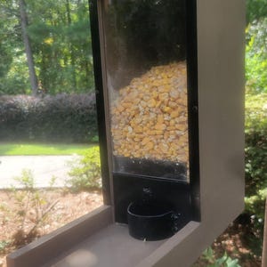durable Squirrel Feeder feeding corn kernels with no waste chew proof metal protection