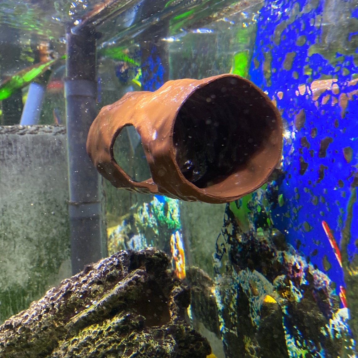 Aquarium Floating Fish Log Decoration Hide Uses Suction cups Etsy