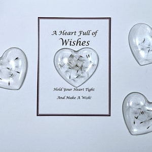 Make a Wish Pocket Hug Heart With Real Dandilions