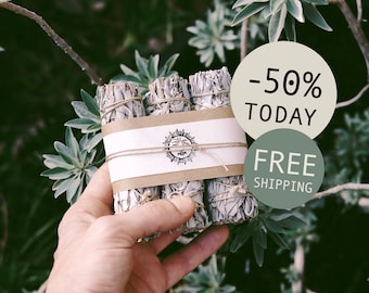 White Sage Smudge Sticks, Sustainably Grown in California + FREE SHIPPING