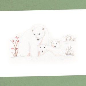 Winter Polar Bears