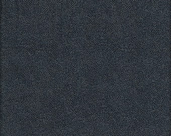 Può includere: Sfondo blu navy scuro con un motivo di piccoli punti chiari distanziati uniformemente. I punti creano un aspetto strutturato, con un sottile effetto sfumato. Il design generale è semplice ed elegante.