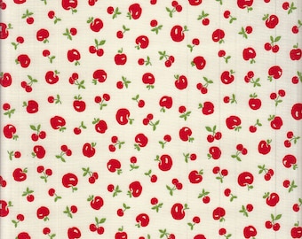 28.00 Eur/Meter Oilcloth coated cotton from Japan 50 cm x 110 cm Oilcloth apples white UO532a