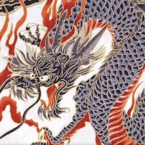 May include: A black and gray dragon with gold accents is depicted on a white background with red and orange flames. The dragon is shown in a curled position with its head facing the viewer.