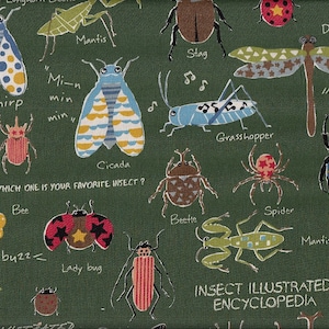 21,90 Eur/Meter Japan fabric children&#39;s fabric cotton 50 cm x 110 cm Insect Encyclopedia green R1176c