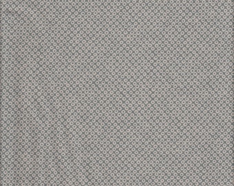 Può includere: Motivo ripetuto di piccoli cerchi chiari con un centro più scuro, su sfondo grigio. Il design crea un effetto geometrico strutturato, adatto per tessuto o carta da parati.