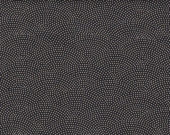 May include: A black background densely covered with small, evenly spaced, light gray dots. The dots are arranged in a pattern that creates a textured appearance, resembling a speckled or stippled surface. The overall effect is a visually rich and detailed design.