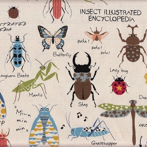 29.90 Eur/Meter oilcloth from Japan laminated cotton fabric 50 cm x 110 cm oilcloth Insect Encyclopedia natural UR1176a
