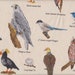 see more listings in the Oilcloth Animals/Children section