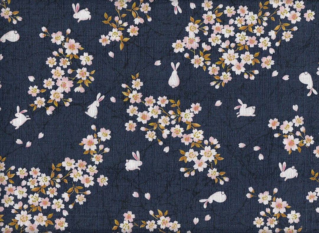 22.90 Eur/meter Fabric From Japan Traditional Cotton Dobby