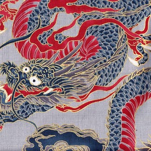 Può includere: Un'illustrazione dettagliata di un drago blu e rosso con accenti dorati su uno sfondo grigio. Il drago è raffigurato in una posa dinamica con le ali spiegate.