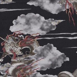 May include: A detailed illustration of two dragons amidst clouds on a black background. The dragons are depicted with intricate scales, fiery red accents, and sharp claws. The clouds are white and gray, creating a dramatic contrast.